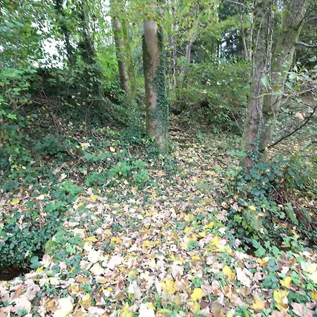 Appartement En Pleine Nature Docelles