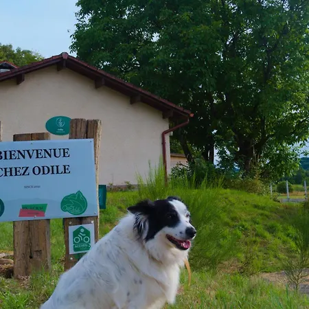 Apartmán En Pleine Nature Docelles