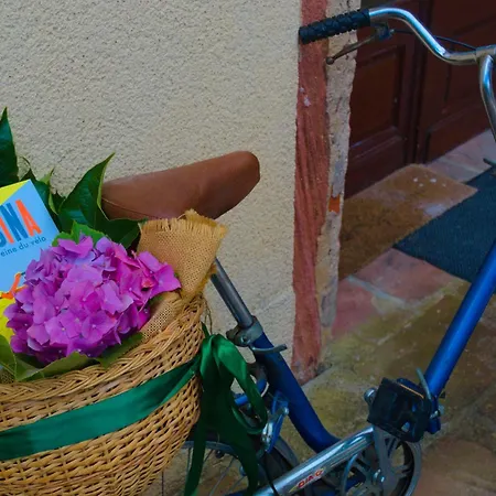 Odile Et Les Cycleux Docelles